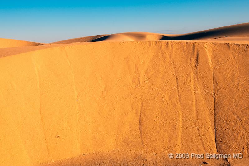 20090603_161204 D3 X1.jpg - The dunes are all around....indeed there are no roads...we get around by driving up and down and around the dunes